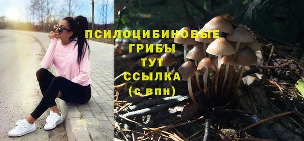 дживик Балахна